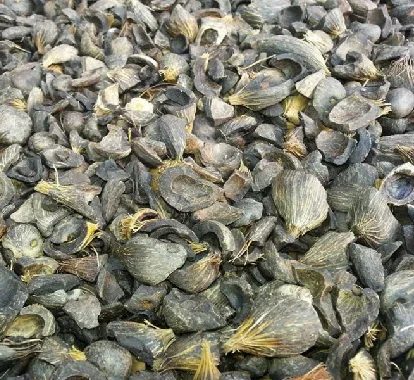 Good Quality Palm Kernel Shell(PKS)/Coconut Shell/Palm Kernel Shell Charcoal