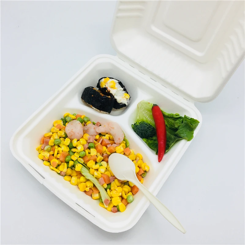 
compostable sugarcane food box food packaging with compartment 