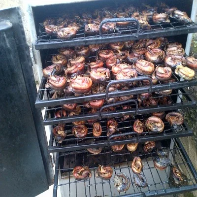 Best Price Dried Salted Catfish, Cat fish/ Sun Dried Catfish Fillet 100g/ Oven dried catfish for Sale