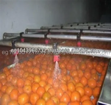 Надежный оранжевый пупок высшего класса, 2022 свежий оранжевый желтый оранжевый пупок. Valencia. Baladi 1 контейнер 16 кг Египет