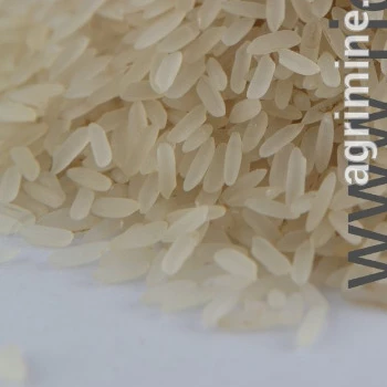 Machine Cleaned IR36 Non Basmati Rice