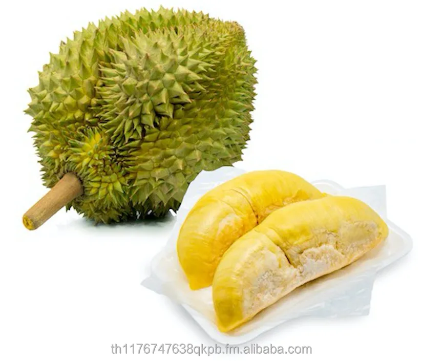 Whole Durian Monthong from Thai Farmer grow in Chantha-Buri and the Southern of Thailand