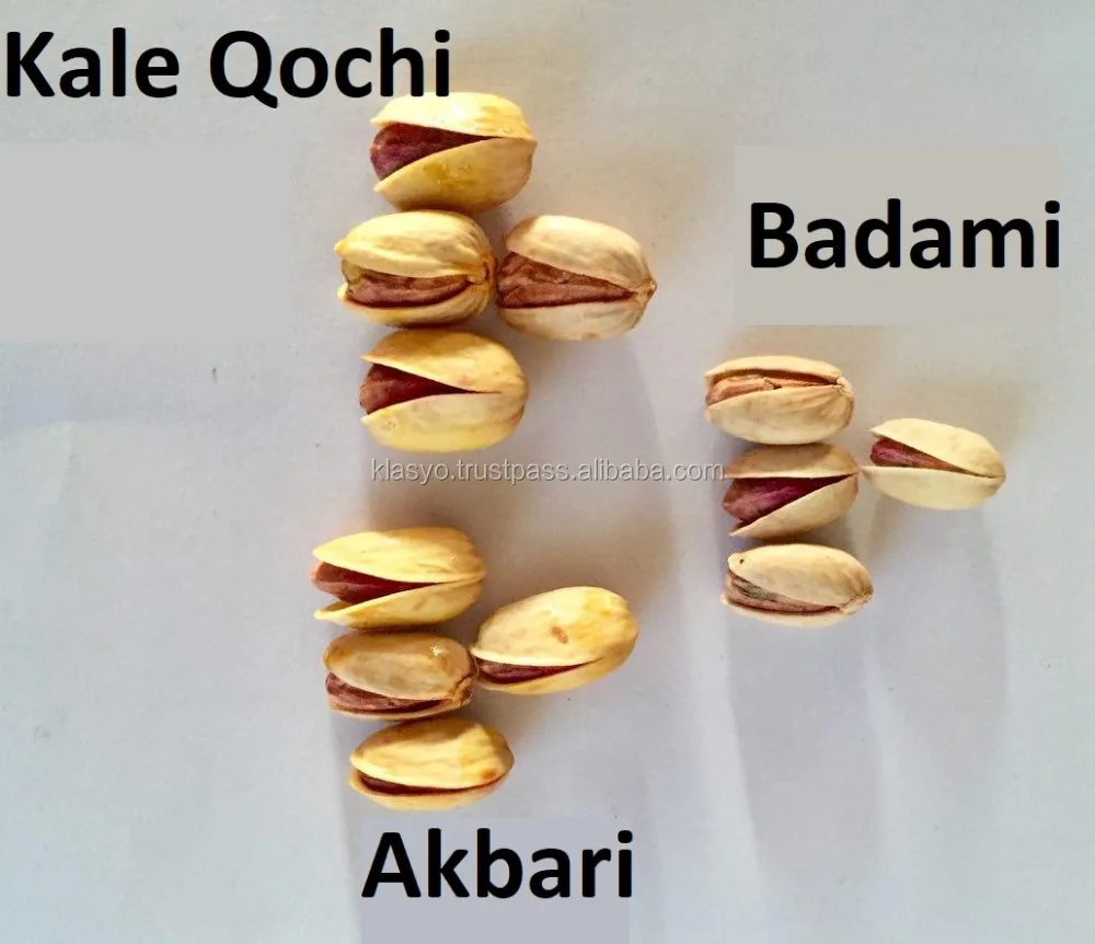 
Pistachio (Akbari) 
