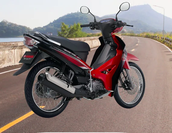 New Design Motorbike 110cc