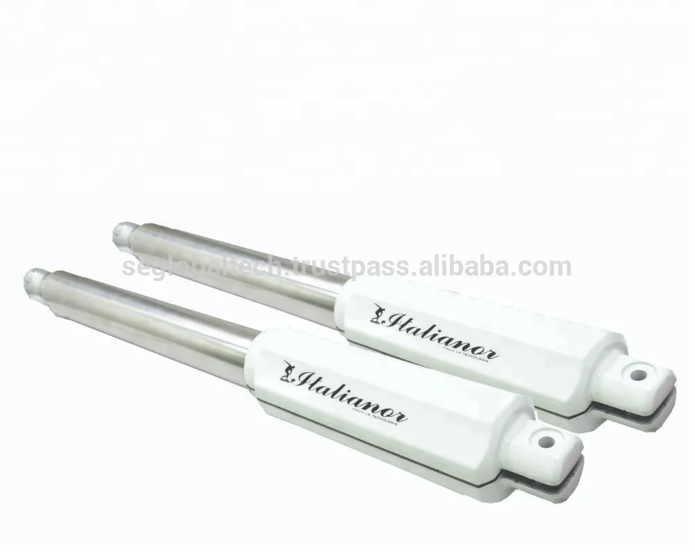 Swing Gate Operator -Italianor DC 24v