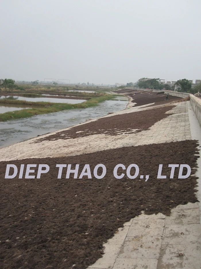 DRIED GRACILARIA SEAWEED EXTRA AGAR/ THE BEST PRICES