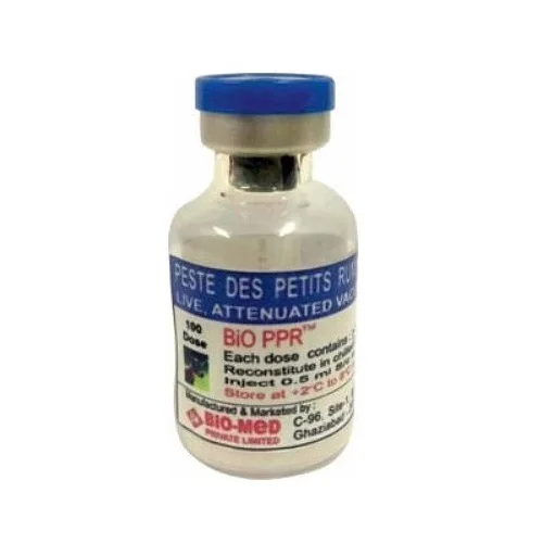
Peste Das Petitis Ruminants (PPR) 