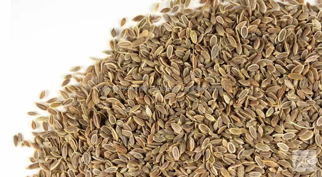 
FRESH DILL SEEDS ORIGIN INDIA FROM NIK-MAY EXPORTS 