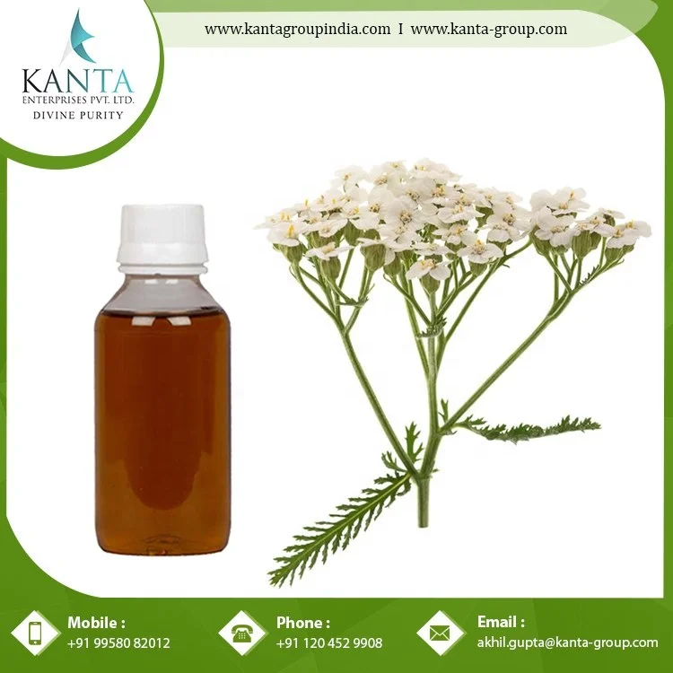 Private Label OEM / ODM Supply 100% Original Yarrow Essential Oil Buy at Wholesale Price