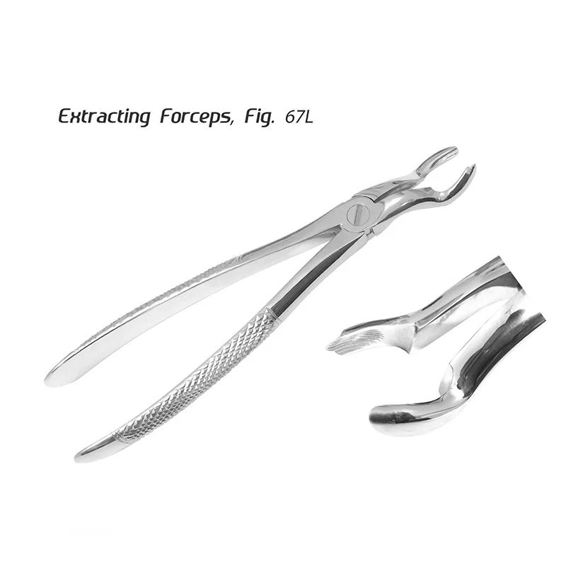 Professional Medical  Dental Extraction Forceps Stainless Steel Dental Pliers Tooth Extracting Forceps