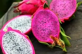 
Vietnamese Fresh Dragon Fruit/ Good Red Dragon 