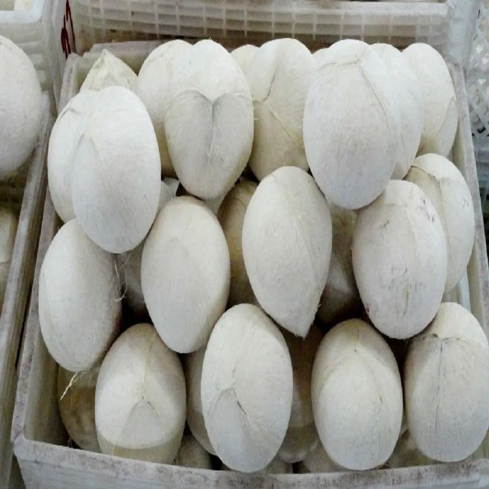 Fresh Young Coconuts From Thailand