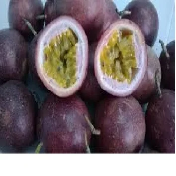 Passion fruit pulp - competitive price