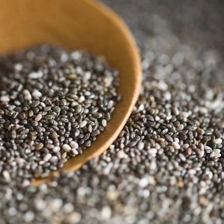 Chia seeds - Salvia Hispanica