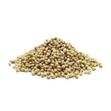 100 % Pure Fresh Dried Indian Wholesale Eagle Split Coriander Seed