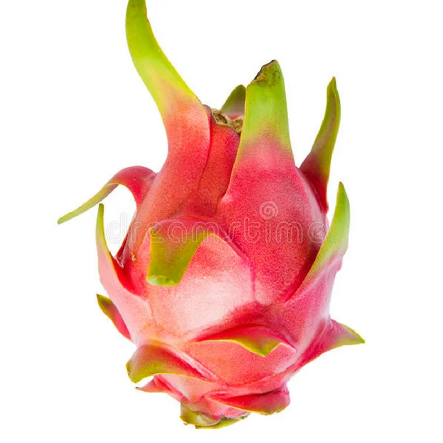 Vietnam high quality dragon fruit/pitaya good price New crop white red dragon fruit wholesale with best price
