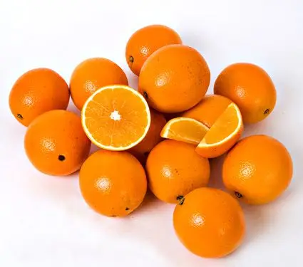 Top Supplier of Sweet Valencia Fresh Oranges