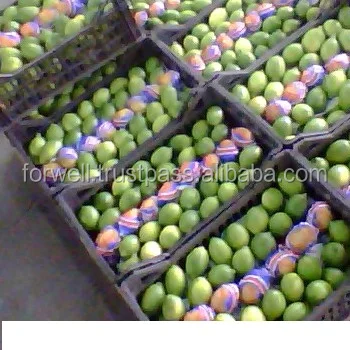 NEW SEASON CHICNESS LEMON ( Adalia - Verna - Lime ) Natural 100 % Fresh