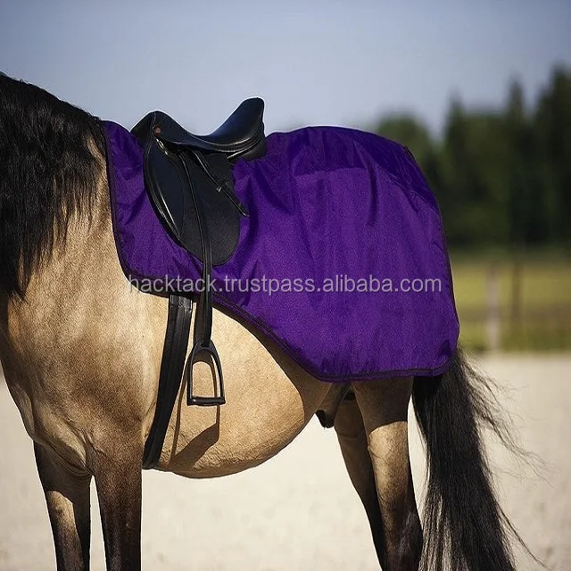 Equisafety Hi Viz Winter Wraparound Exercise Horse Quater Riding On Sheet Rug
