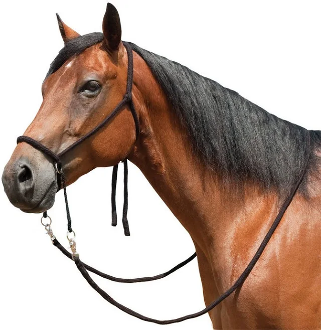 Manufacturer and Exporter of Horse Rope Bridle