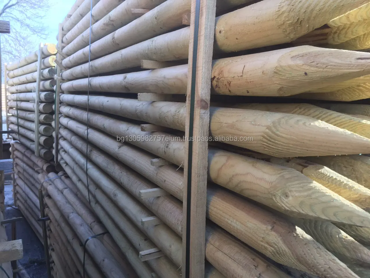 Electrical Wood Poles coniferous, lathed and impregnated by high pressure vacuum