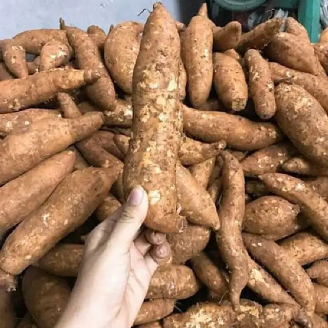 Сладкий картофель по низкой цене/BATATA /YAM (WHATSAPP +