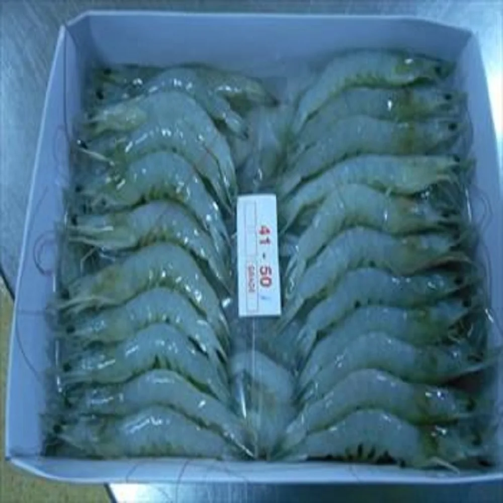 IQF HLSO or Hoso frozen Penaeus Vannamei Shrimp