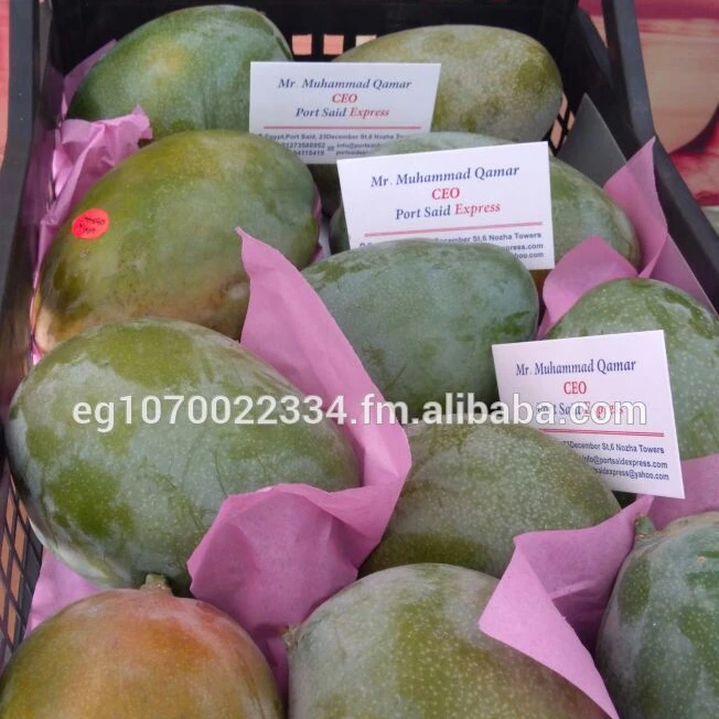 fresh mango ready export to Vietnam