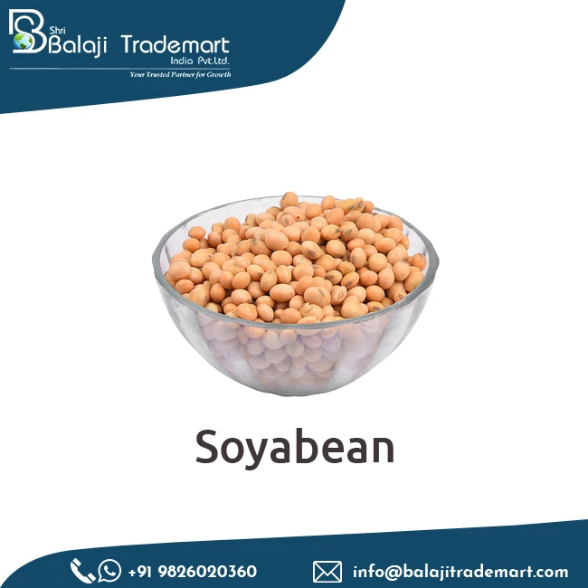 Excellent Quality Pure Natural Soybean Seed for Animal Feed at Low Price in Bulk