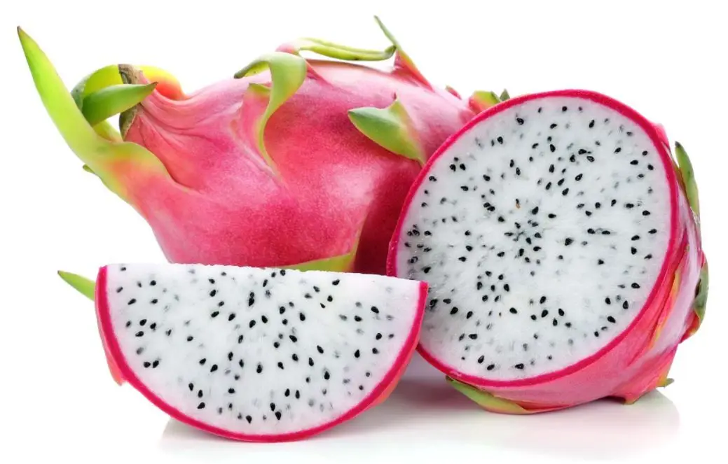 
Best price ! Dried white dragon fruit 