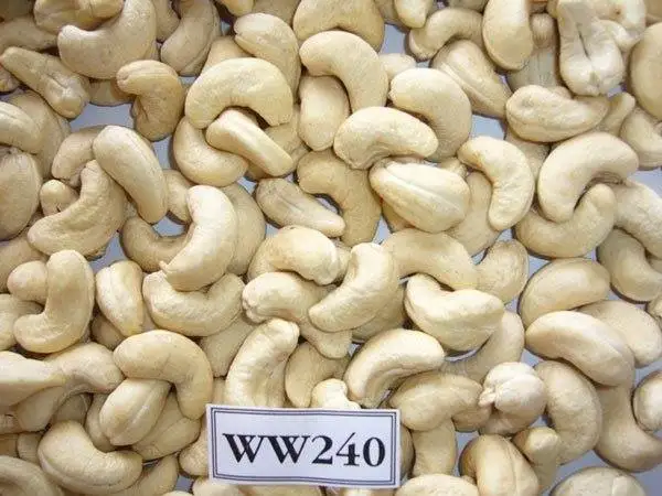 Cashew Nuts W320 W240  Dried Raw /Cashew Nuts W320 W240 Raw OEM Dry Nuts Daily  And Seeds Dried Fruits