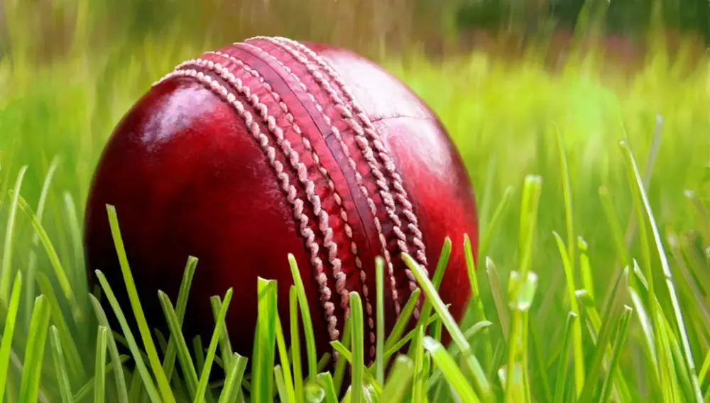 Высококачественный мяч для Крикета