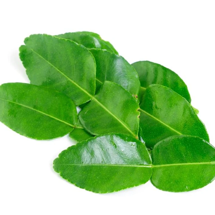 
Dried Kaffir Lime Leaves Powder 100% Natural Product of Thailand 