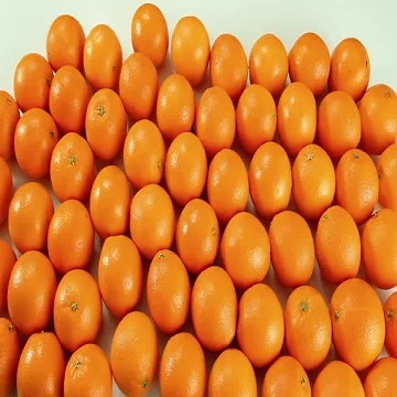 Fresh Gannan navel orange fruit