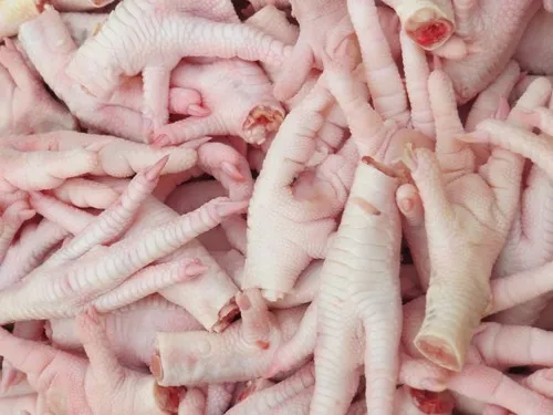 
Frozen chicken feet supplier Asia 