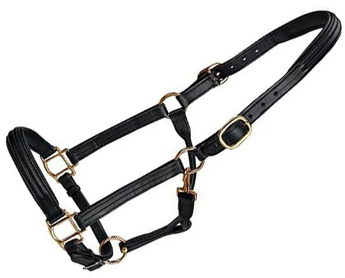 
Equestrian Horse Leather Halter Manufacturer India 