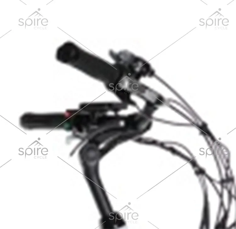 high quality rear motor electronic bike for adult