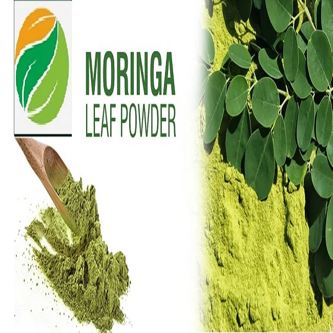 Moringa 4