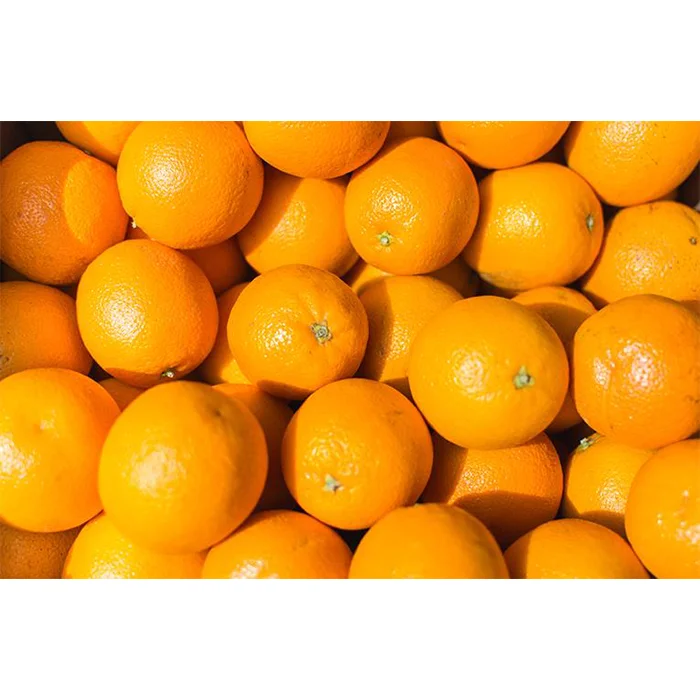 Fresh Orange for Export | Navel Citrus Orange