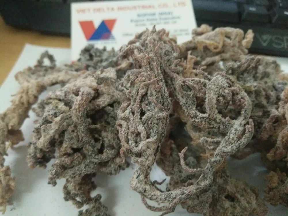 Морские водоросли Spinosum/Eucheuma cottonii