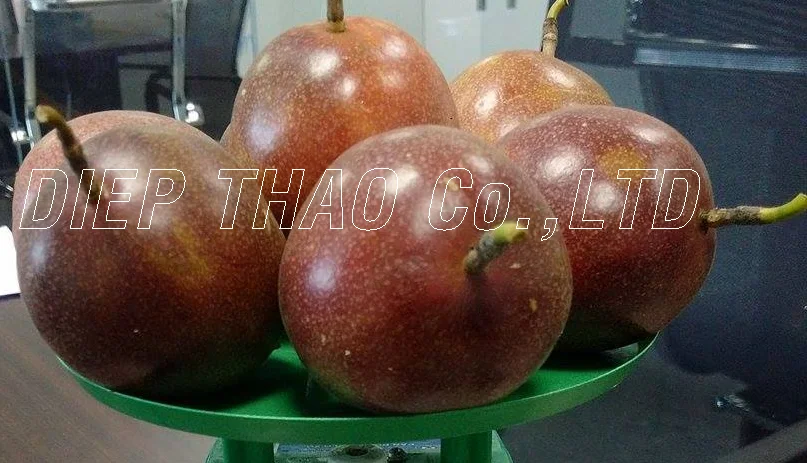 FRESH PASSION FRUITS/ SUPPLY FRESH PASSION FRUITS