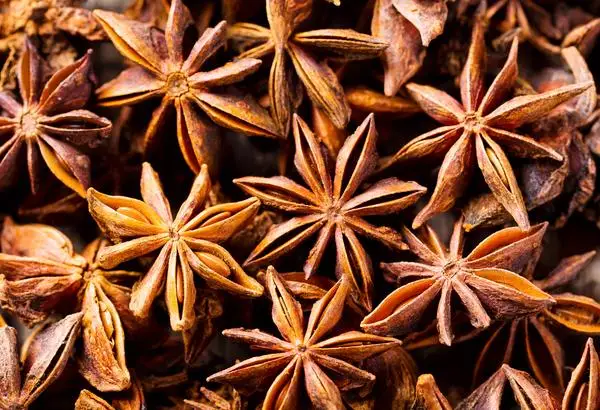 Whole Star Anise Vietnam Wholesale Grade 1 Price factory Hanfimex natural forest Vietnam Origin hot seller Autumn new crop