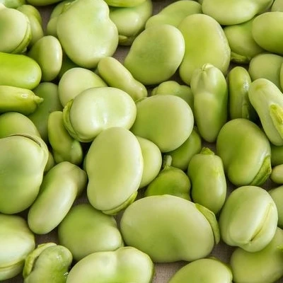 
Lima Beans Supply 