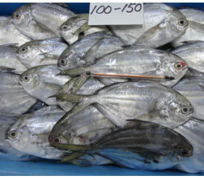 Frozen butter fish