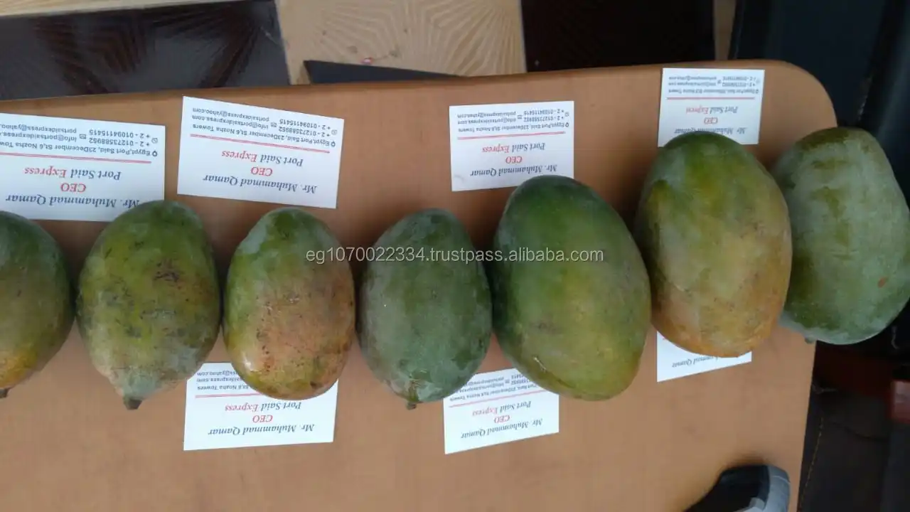 fresh mango ready export 2020