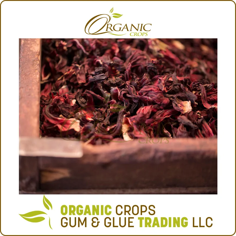 Dried Hibiscus Flowers Best Quality at Wholesale price