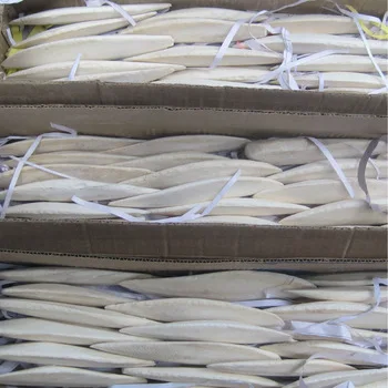 CUTTLE BONE/ CUTTLEBONE 2021 // Mr. ShinCA (+84) 378398089