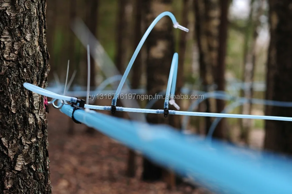 Unique Private Label Product Dry Birch Organic Juice Original From Belarus