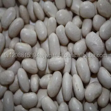 America Round Light Speckled Kidney Bean Red Beans