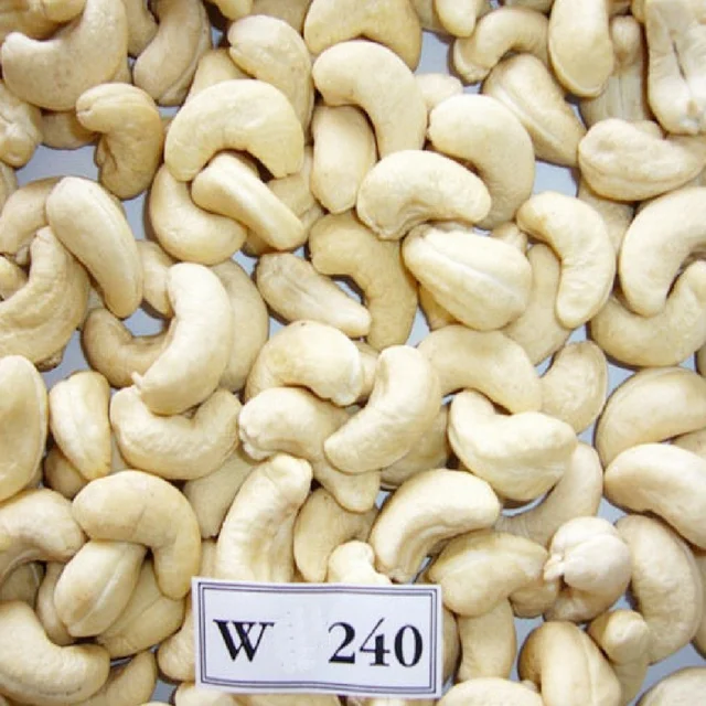 2022 - Vietnamese High quality RAW/ ROASTED cashew nuts at cheap price - Export worldwide
